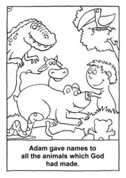 15_Colouring_Creation: Art and craft; Bible story; BW; Coloring; Colouring