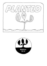 02_Planted