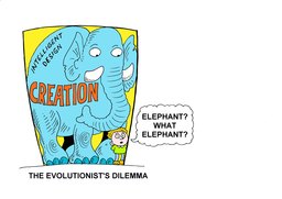 068_Evolution_Cartoons: Cartoons; Colour; Creation