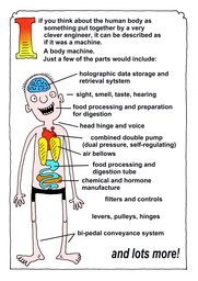 002_Human_Body: Aliens; Colour; Creation; Human body