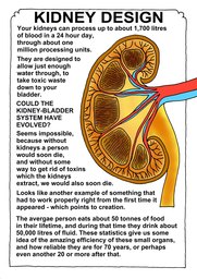 122_Human_Body: Colour; Creation; Human body