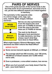 166_Human_Body: Colour; Creation; Human body