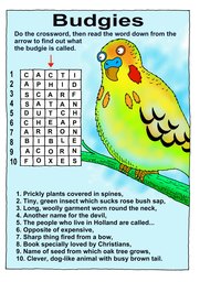 19_Animal_Puzzles: Animals; Colour; Puzzles