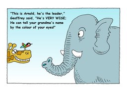 12_Arnold_Elephant: Bible story; Colour; Story